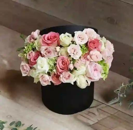 Rosas