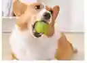 Pelota Maciza Para Perros Juguete Masticable Para Macotas Grande