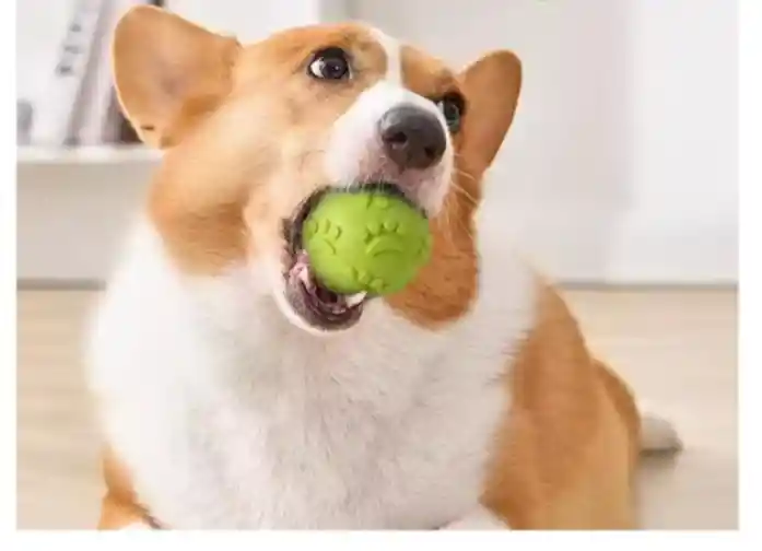 Pelota Maciza Para Perros Juguete Masticable Para Macotas Grande
