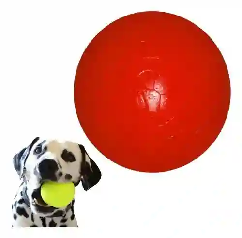 Pelota Maciza Para Perros Juguete Masticable Para Macotas Pequeña