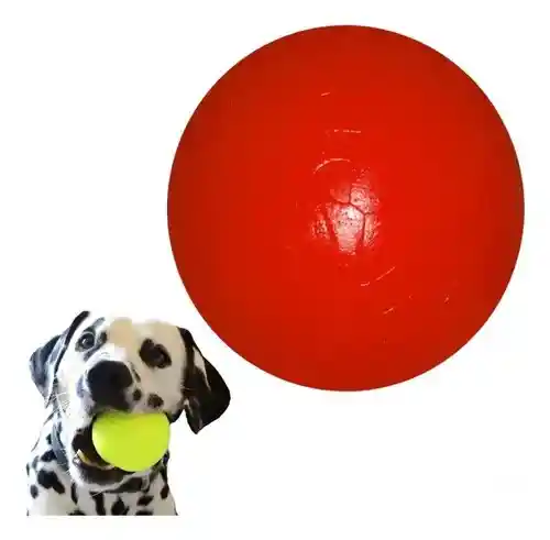 Pelota Maciza Para Perros Juguete Masticable Para Macotas Pequeña