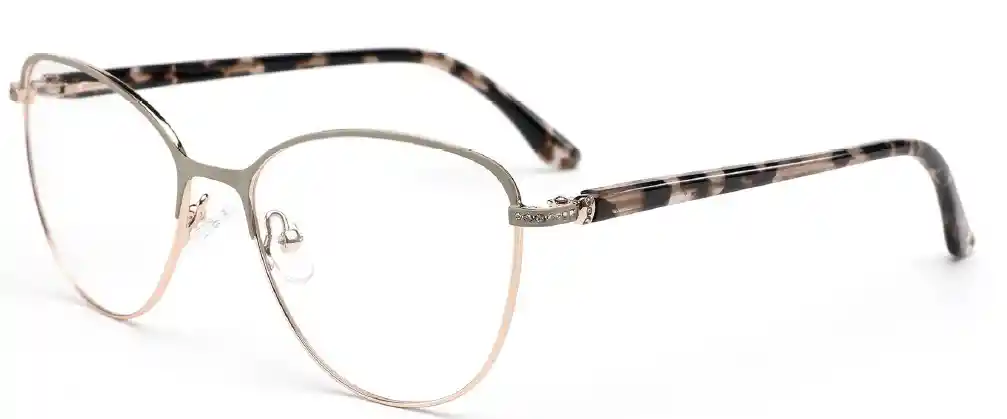 Montura De Gafas Icon