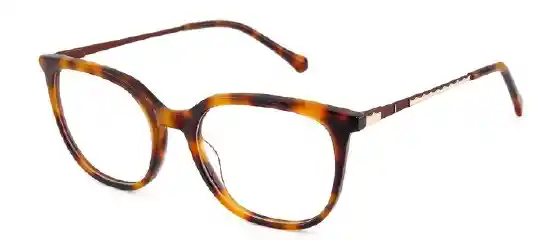 Montura De Gafas Class Marron