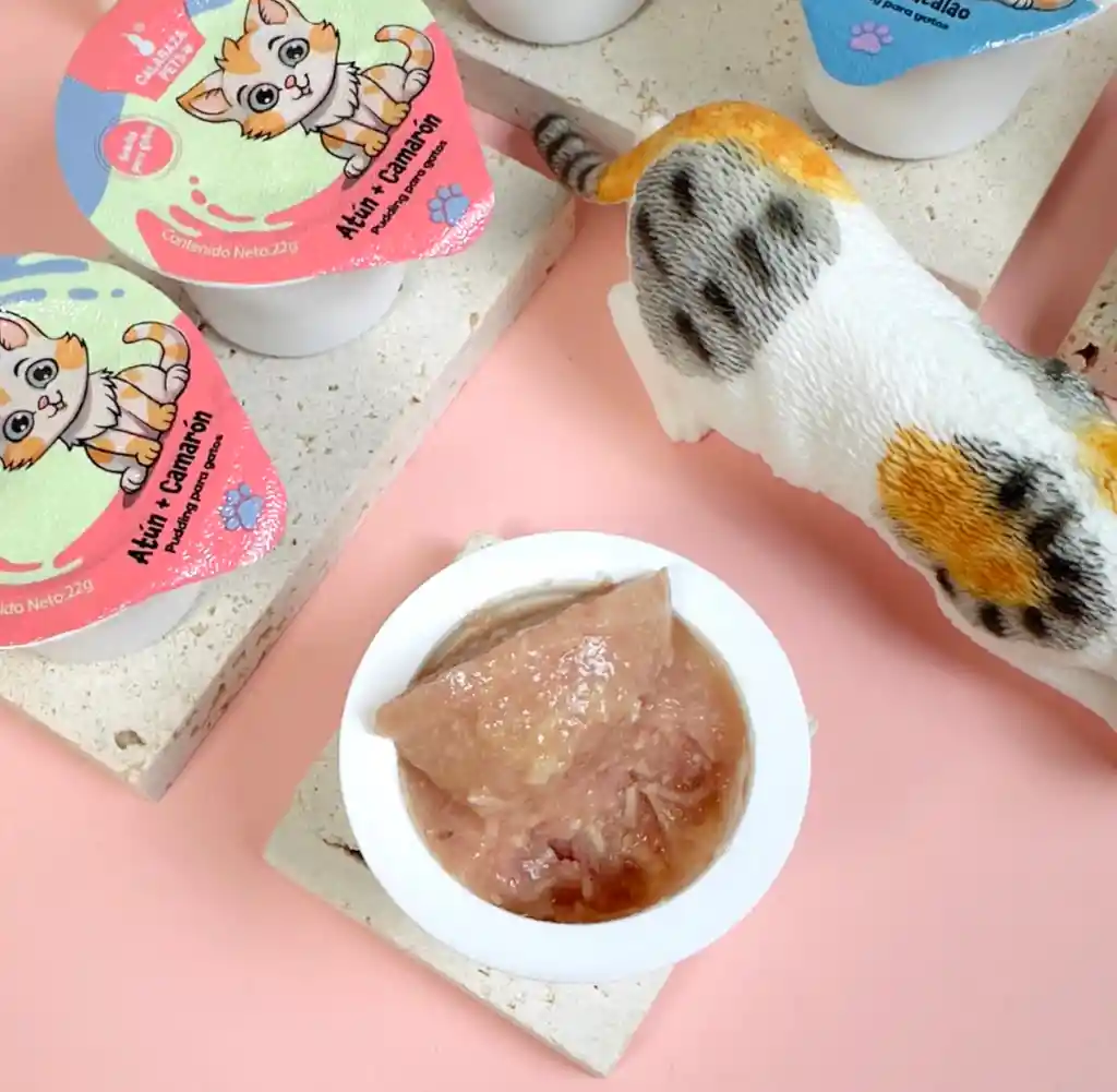 Pudding De Pollo Y Salmón Para Gatos