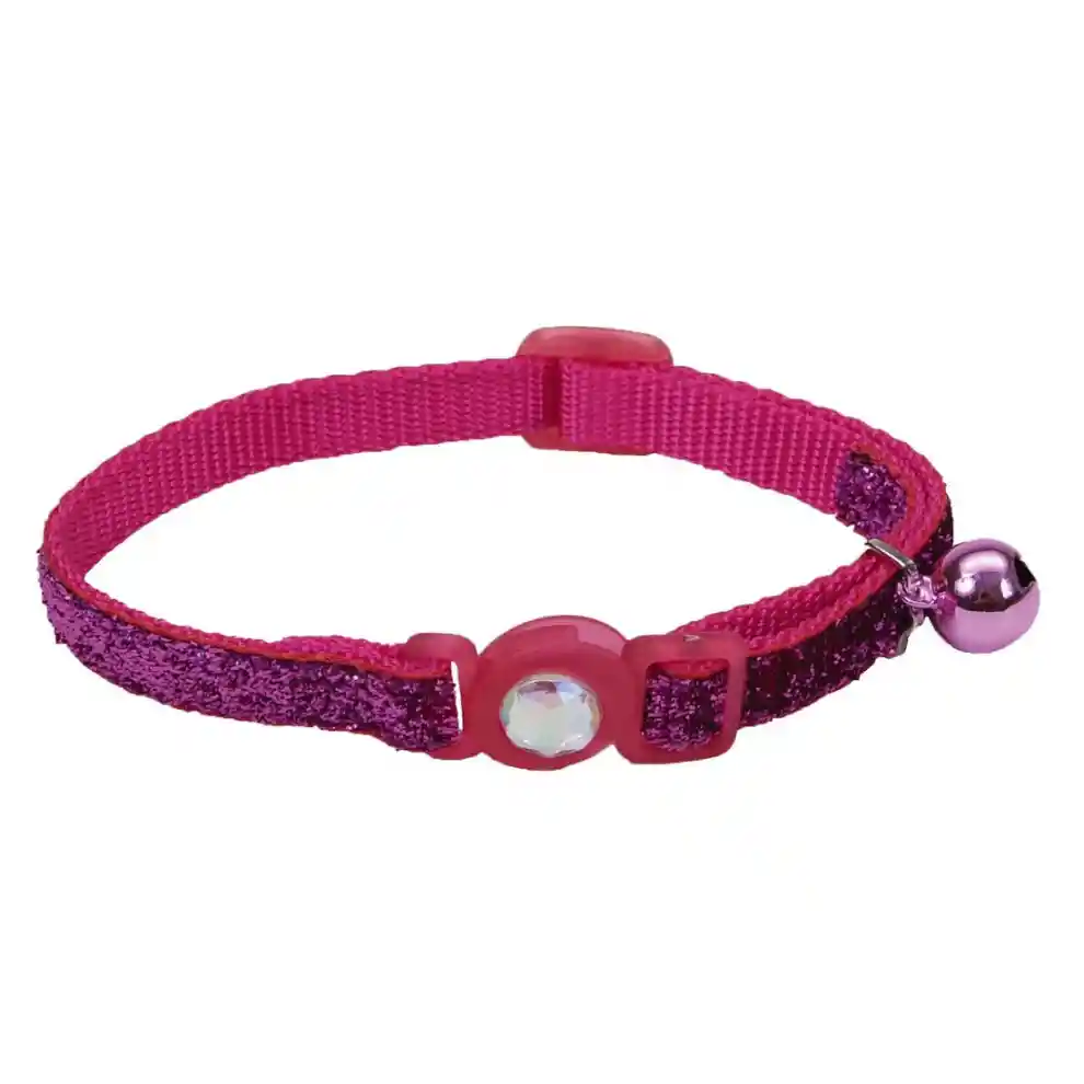 Collar Coastal Brillante Fucsia