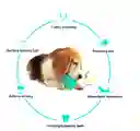 Pelota Interactiva Para Mascotas Alta Resistencia
