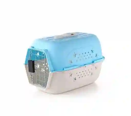 Guacal Comfy Colores Surtidos