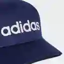 Gorra Daily