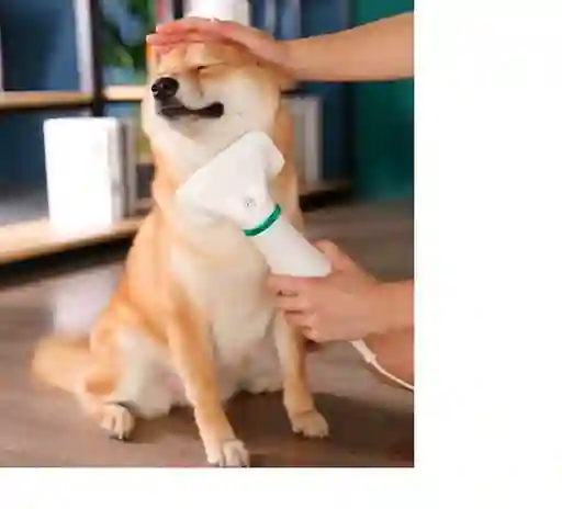 Cepillo Para Perro 2in1