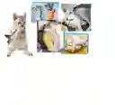 Juguete Pez Con Movimiento Para Mascotas Yu30cm