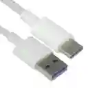 Cable Tipo C 3 Metros