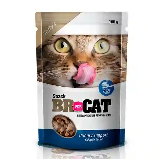Softy´s Br For Cat Urinary Support X 100 Grs
