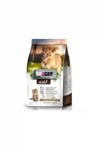 Br4cats Cat Wild Gatitos X 3 Kl