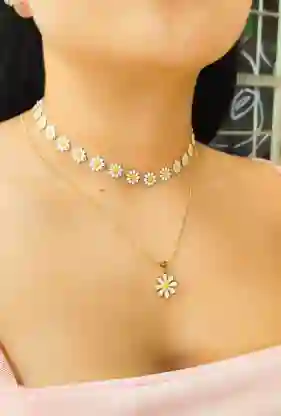 Set Collar Margaritas