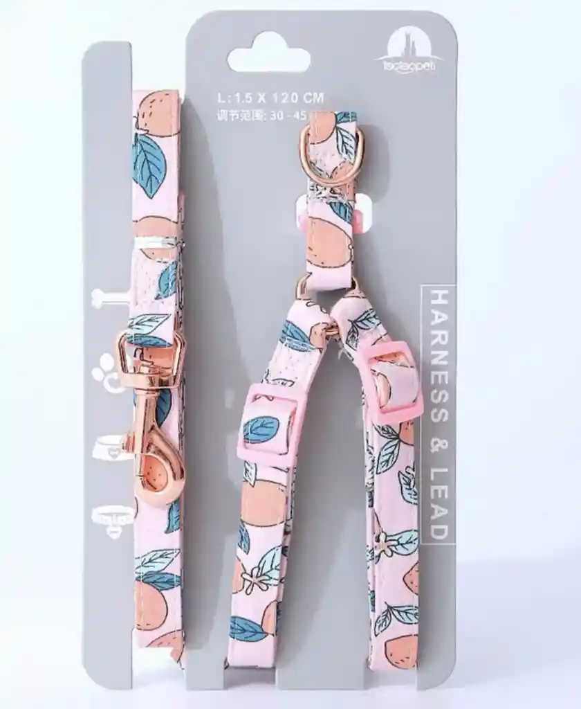 Arnés Y Traílla Sweet Fruits Talla S Modelos Surtidos