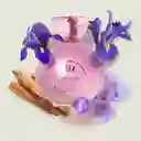 Perfume De Mujer Liz Flora Edt 100ml