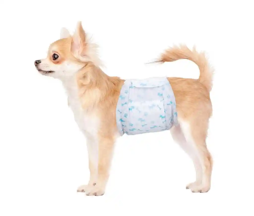Pañal Desechable Para Mascota Macho Talla S Por 120 Und