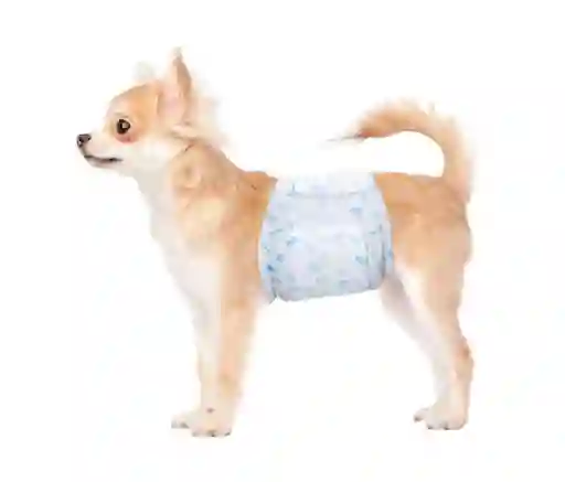 Pañal Desechable Para Mascota Macho Talla S Por 48 Und