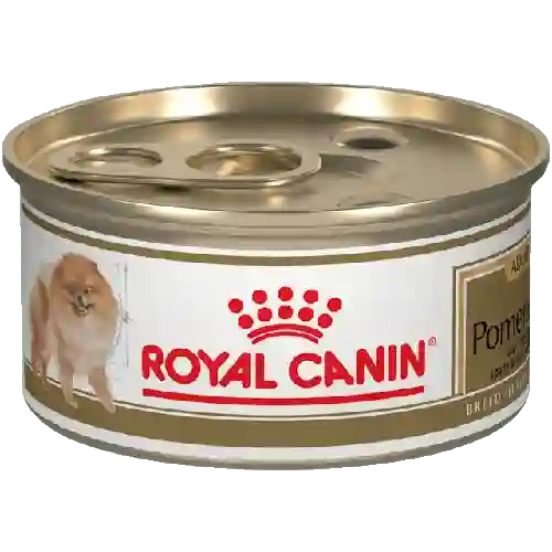 Royal Canin Lata Pomeranian