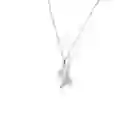 Cadena Con Colibrí Silver