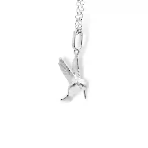 Cadena Con Colibrí Silver