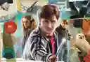 Rompecabezas 180 Piezas Harry Potter Clementoni Para Niños