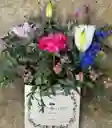 Caja Floral Selvatica