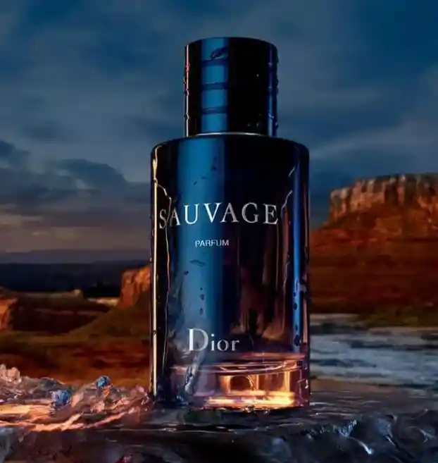 Perfume Perfume De Hombre Dior Sauvage 100 Ml 1.1
