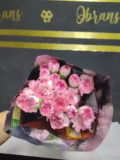 Clavel