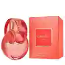 Perfume Bvlgari Omnia Coral 65 Ml Mujer Original