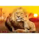 Rompecabezas 180 Piezas Leones Al Atardecer Para Niños