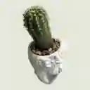 Cactus Rostro Mini Ceramica