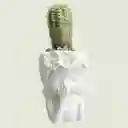 Cactus Rostro Mini Ceramica