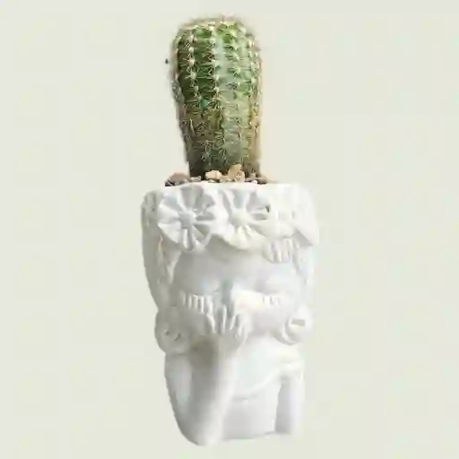 Cactus Rostro Mini Ceramica