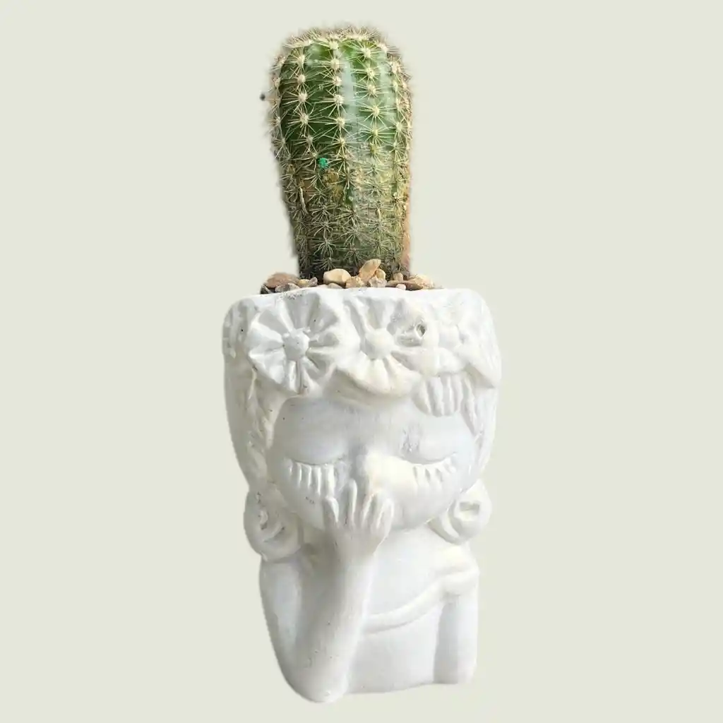 Cactus Rostro Mini Ceramica