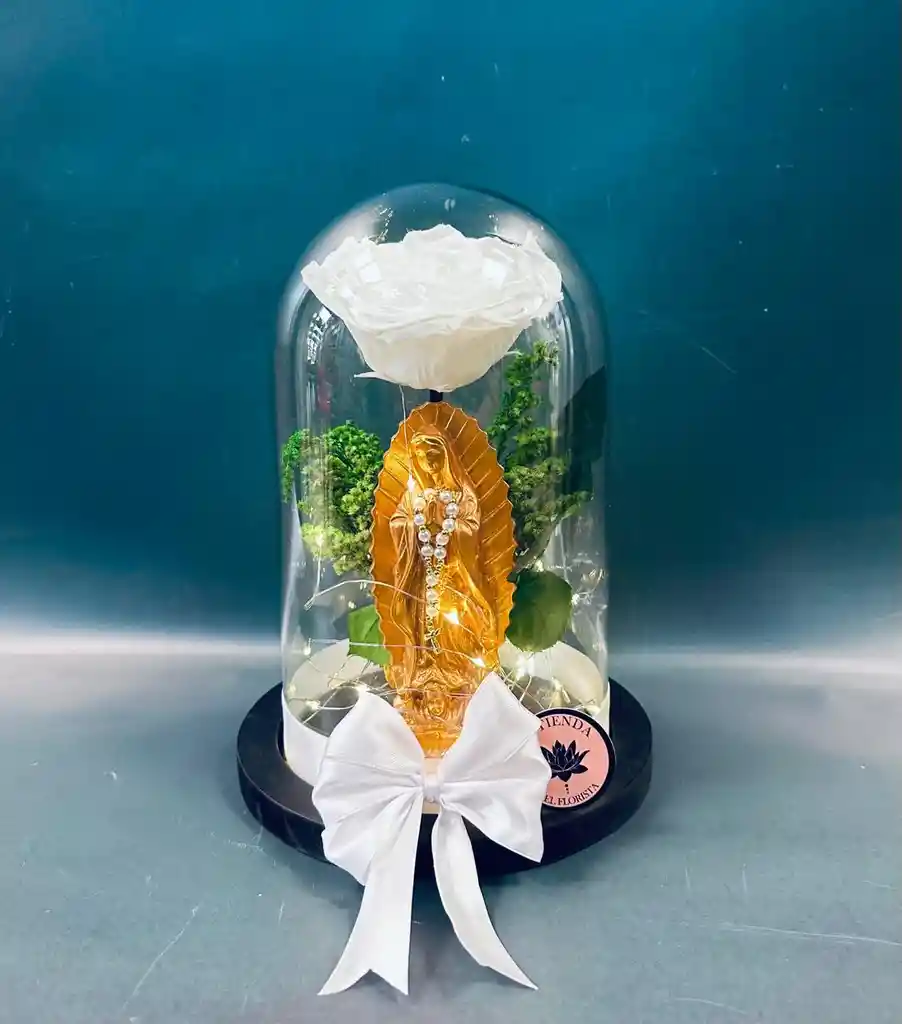 Rosa Preservada Con Virgen