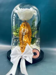 Rosa Preservada Con Virgen