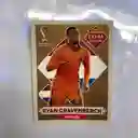 Lamina Extra Sticker Bronce Ryan Gravenberch Para Album Panini Copa Mundial Qatar 2022