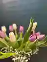 Tulipanes En Florero
