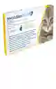 Revolution Plus Gatos 1 Kg A 2.5 Kg Revolution Para Gatos Desparasitante Interno Y Externo Gato Revolution 1 A 2.5 Kg