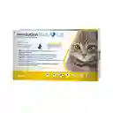 Revolution Plus Gatos 1 Kg A 2.5 Kg Revolution Para Gatos Desparasitante Interno Y Externo Gato Revolution 1 A 2.5 Kg