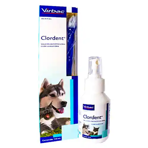 Clordent Spray X 100 Ml