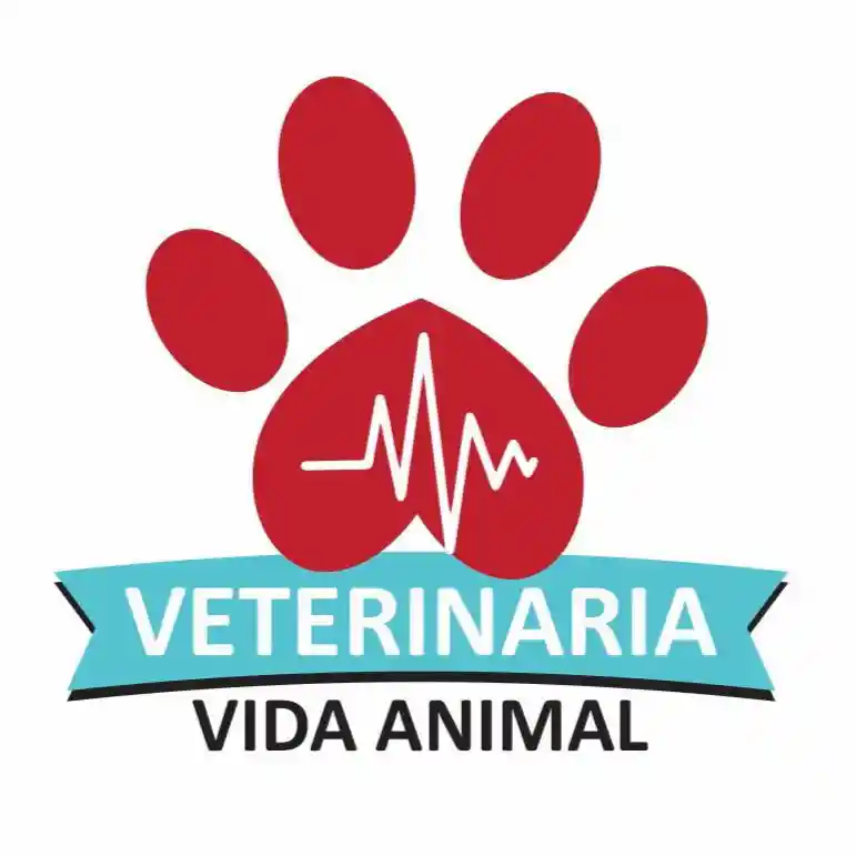 Faja Para Gatos Post Quirurgicas Talla M Peso 3 A 5 Kg