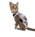Faja Para Gatos Post Quirurgicas Talla M Peso 3 A 5 Kg
