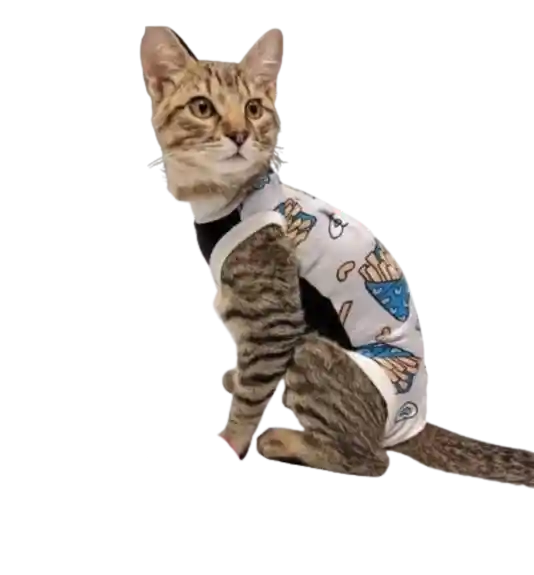 Faja Para Gatos Post Quirurgicas Talla M Peso 3 A 5 Kg