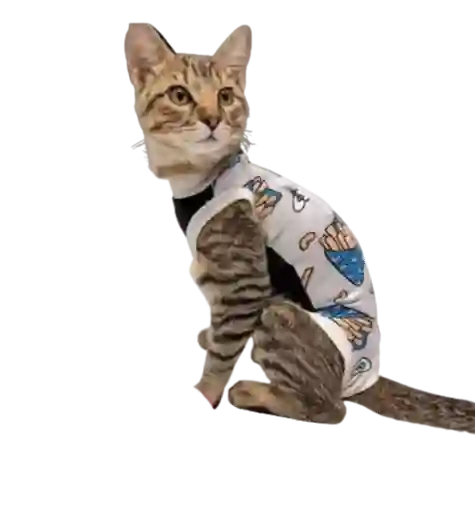 Faja Para Gatos Post Quirurgica Talla L Peso 5 A 10 Kg