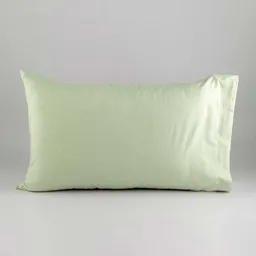 Funda De Almohada Expressions Setx2 74x50 Cm Microfibra Menta