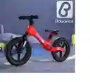 Bicicleta De Equilibrio Phy-03