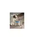 Fuente De Agua Para Mascotas Gatos Silencioso Automatico Color Transparente Oscuro