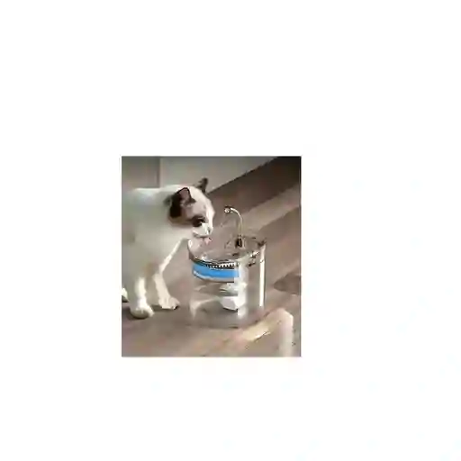Fuente Bebedero De Agua Automático Con Filtro Para Mascotas
